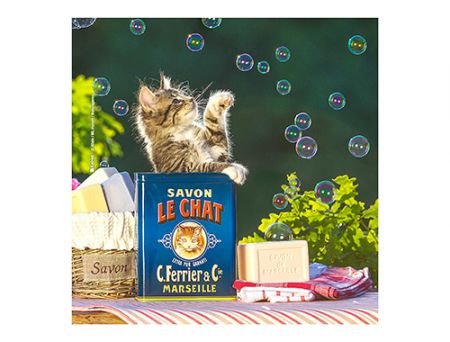 MICROFIBRE Bébés Chatons