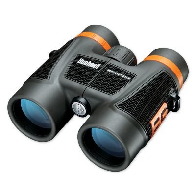 Jumelles Bear Grylls 10x42 Jumelles Bear Grylls 10x42