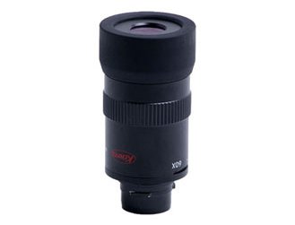 Oculaire  zoom 20-60x TE-9Z