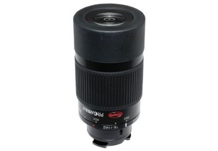 Oculaire 25-60x zoom TE-11WZ