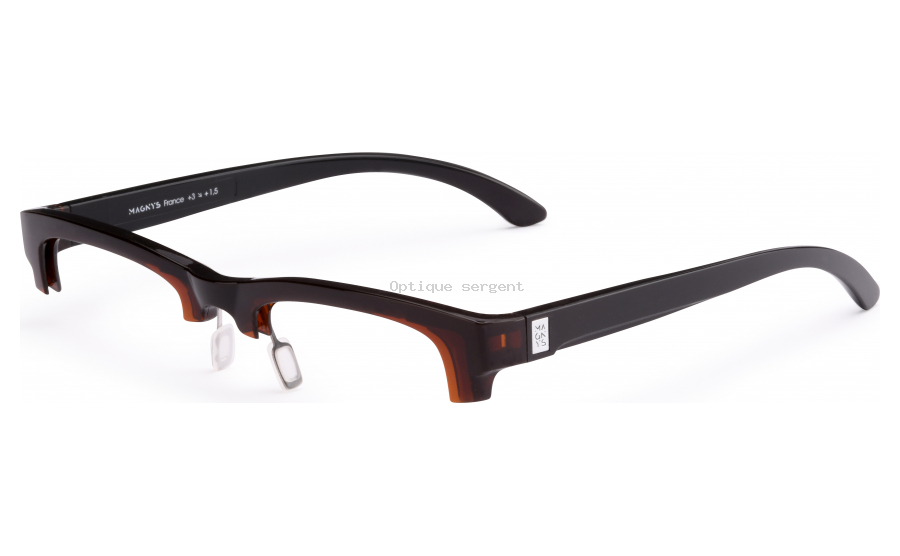 Lunettes presbyte