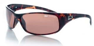 Lunettes de soleil Recoil