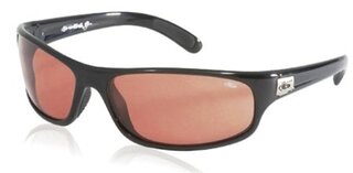 Lunettes de soleil Anaconda