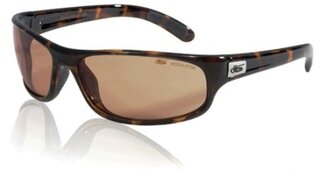 Lunettes de soleil Anaconda