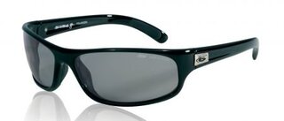 Lunettes de soleil Anaconda