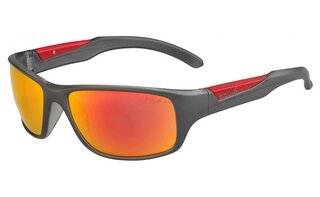 Lunettes de soleil VIBE 12441