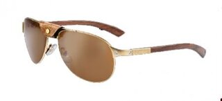 Lunettes de soleil Santos