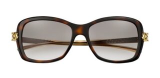 Lunettes de soleil Panthère wild