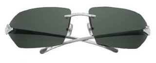 Lunettes de soleil Panthère