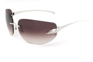 Lunettes de soleil Panthère instinct
