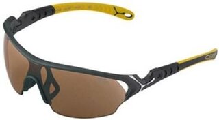 Lunettes de soleil Wing