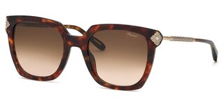 Lunettes de soleil SCH336S-0714