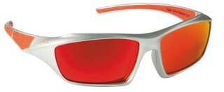 Lunettes de soleil VIPER