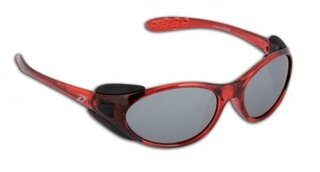 Lunettes de soleil CHAMOIS