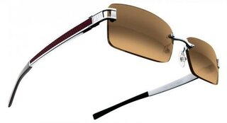 Lunettes de soleil 8118 F1