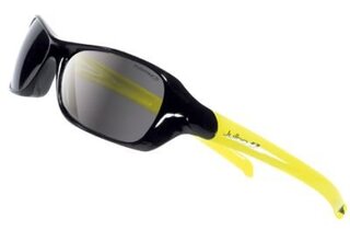 Lunettes de soleil Dolphin