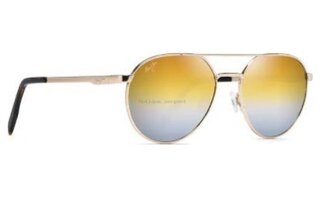 Lunettes de soleil Waterfront DGS830-16