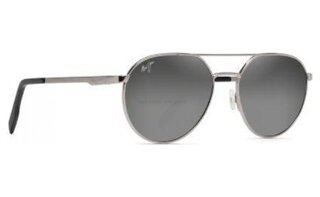Lunettes de soleil Waterfront DSB830-11