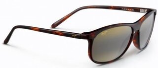 Lunettes de soleil Voyager