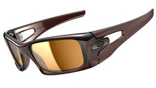 Lunettes de soleil Crankcase