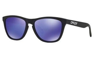 Lunettes de soleil FROGSKINS