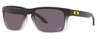 Lunettes de soleil HOLBROOK 9102 W1