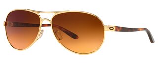 Lunettes de soleil Feedback 4079-41