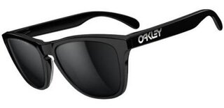 Lunettes de soleil FROGSKINS LX