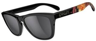 Lunettes de soleil Frogskins