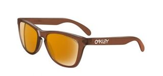 Lunettes de soleil FROGSKINS