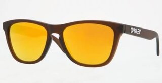 Lunettes de soleil FROGSKINS