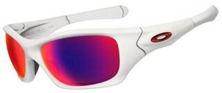 Lunettes de soleil PIT BULL