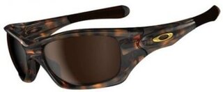 Lunettes de soleil PIT BULL