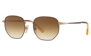 Lunettes de soleil PO2446S