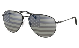 Lunettes de soleil PH3111