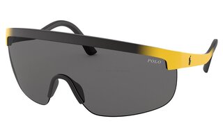 Lunettes de soleil PH4156