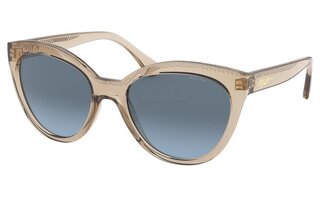 Lunettes de soleil RA5260