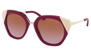 Lunettes de soleil RL8178