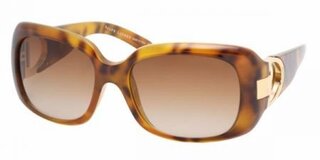 Lunettes de soleil RL8044
