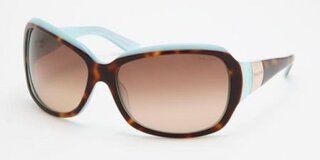 Lunettes de soleil RA5005