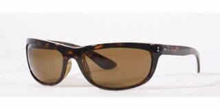 Lunettes de soleil RB4089