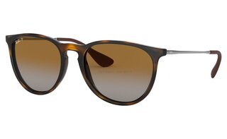Lunettes de soleil RB4171F