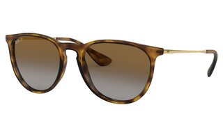 Lunettes de soleil RB4171