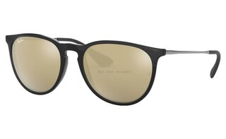 Lunettes de soleil RB4171F