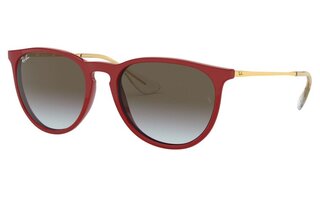Lunettes de soleil RB4171