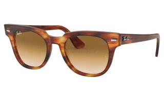 Lunettes de soleil RB2168