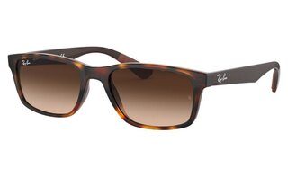 Lunettes de soleil RB4234