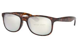 Lunettes de soleil RB4202
