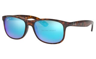 Lunettes de soleil RB4202