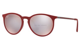 Lunettes de soleil RB4274